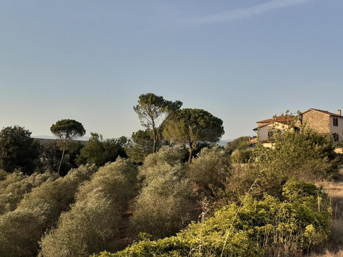Borgo De' Muracci Ribolla Luaran gambar