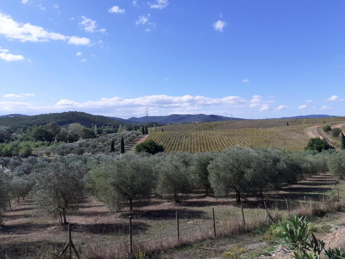 Borgo De' Muracci Ribolla Luaran gambar