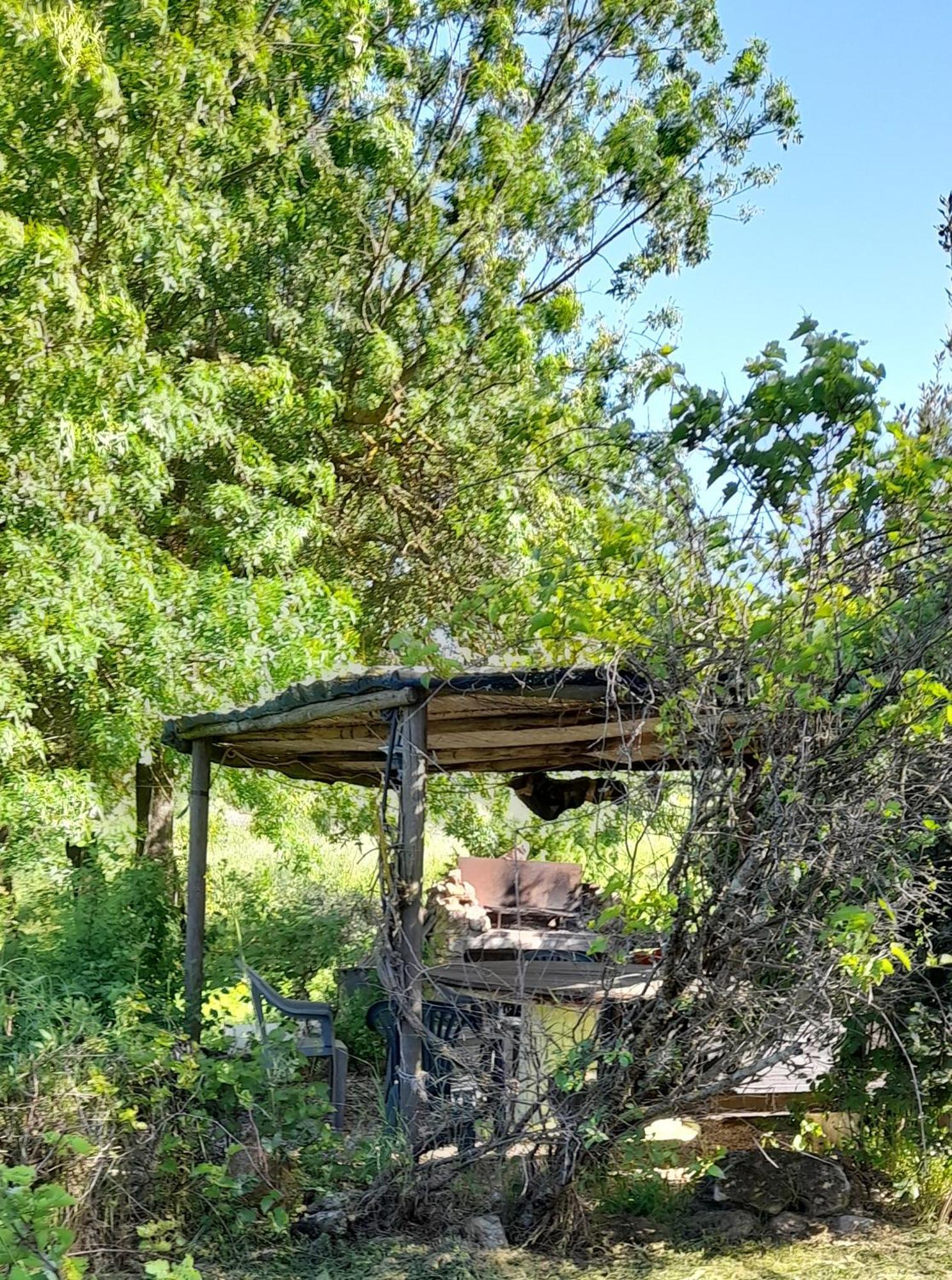 Borgo De' Muracci Ribolla Luaran gambar
