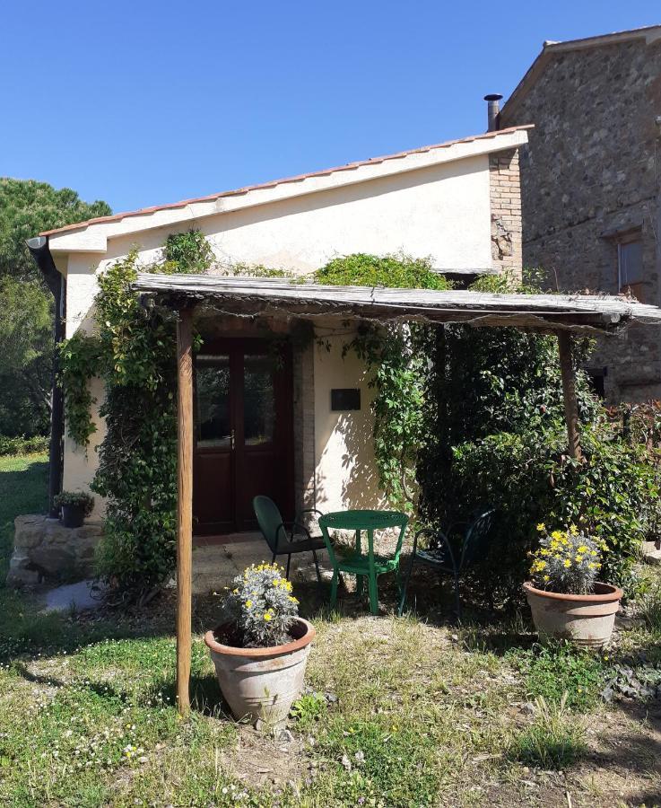 Borgo De' Muracci Ribolla Luaran gambar