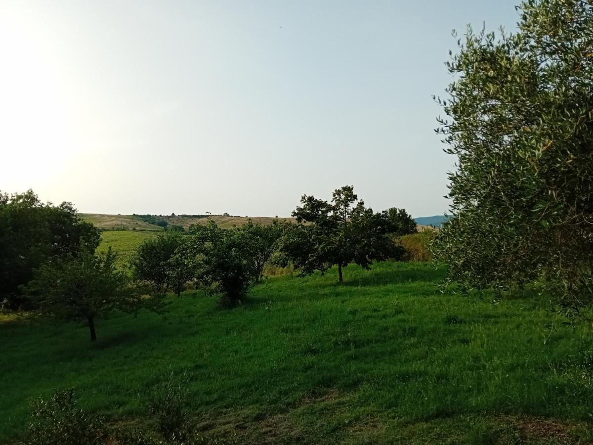Borgo De' Muracci Ribolla Luaran gambar